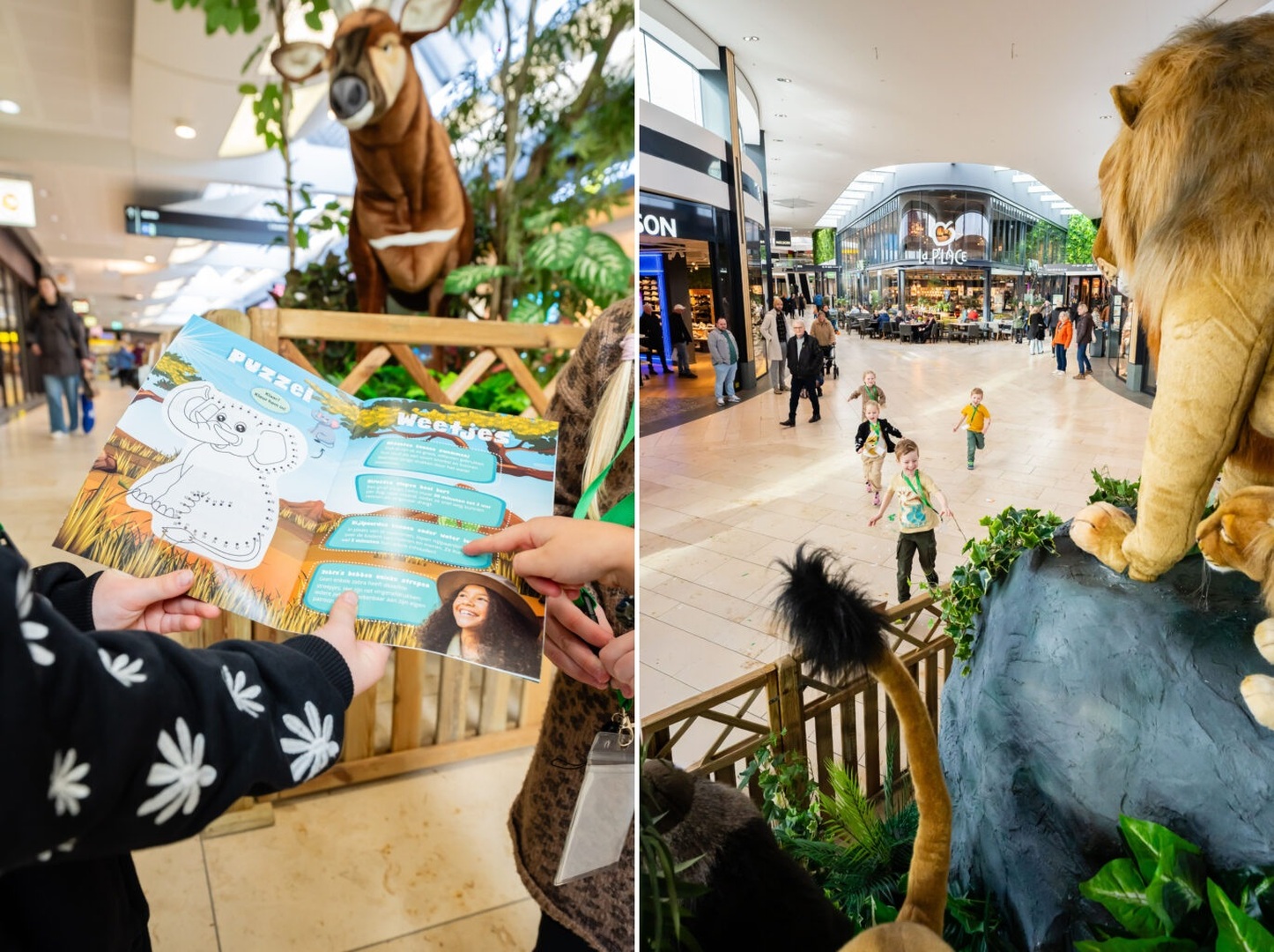 Foto: safaritour hhw.jpg